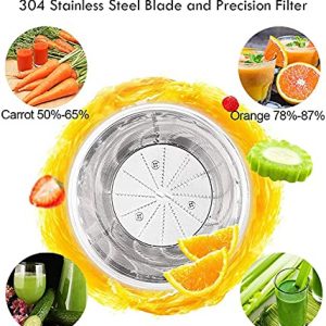 Juicers, Centrifugal Juicers Machine, Juice Extractor with LED Light, 3 inch Feed Chute 2 Speed Mode, One Button Control Easy to Clean, Stainless Steel Power Juicer Maker for Vegetables Fruits, Silver