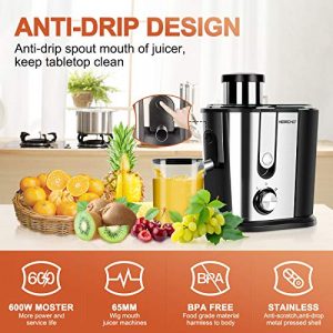Juicer Machines, HERRCHEF 600W Juice Extractor with 3'' Wide Mouth, 2 Speed Stainless Steel Compact Centrifugal Juicer for Vegetable and Fruit Easy to Clean, with Anti-drip, BPA-Free