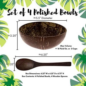 Coconut Bowls and Wooden Spoon Set - Perfect for Smoothie Bowls, Acai Bowls, Buddha Bowls. Wooden Bowl Set Made From Coconut Shells. Vegan Friendly