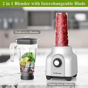 La Reveuse 2-in-1 Professional Smoothie Blender 450-Watt with 44 Oz Blending Pitcher,17 Oz To Go Bottle for Frozen Drinks,Smoothies, Silver