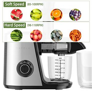Juicer Machines, ORFELD Slow Masticating Juicer Extractor Easy to Clean, Quiet Motor and Reverse Function, Cold Press Juicer for Vegetable and Fruit Carrots, Oranges and Celery etc