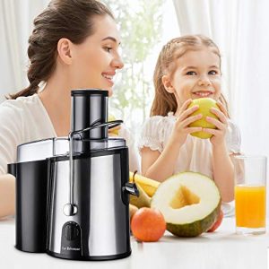 La Reveuse Fruit Juicer Juice Extractor Centrifugal Juicing Machine 750 Watts Powerful 3 Inches Wide Mouth for Whole Fruits Vegetables, Silver