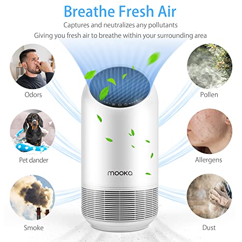 Air Purifiers for Home Large Room up to 645ft², H13 HEPA Filter for Pets Hair Dander Dust Pollen Smoke Odor for Bedroom, Room Air Purifiers with Filter Reminder, Ozone Free, Available for California